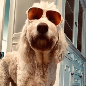 Meet your Posher, James